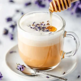 12 Delicious Salad Recipes