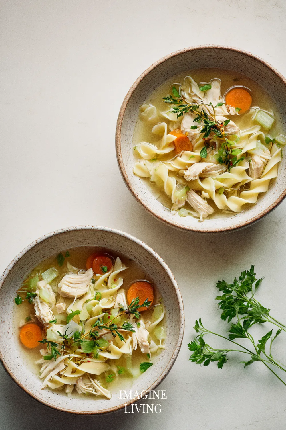 Ingredients: The Cozy Blend Behind Hearty Chicken Noodle Soup