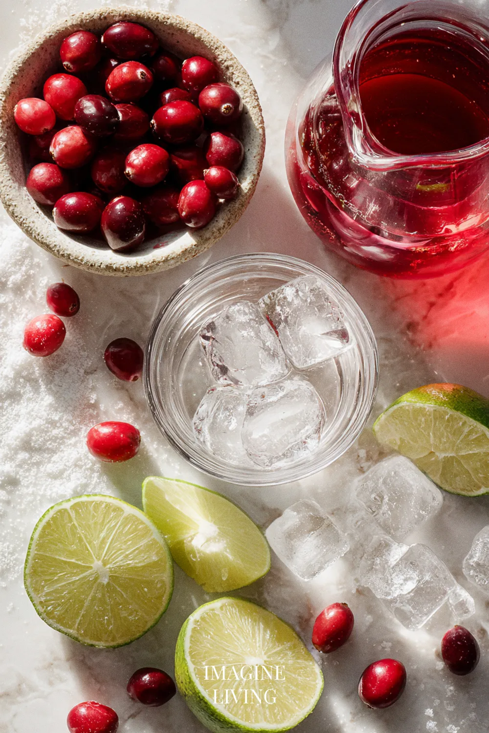 Ingredients: Delicious Red Christmas Margaritas (Serves 4)
