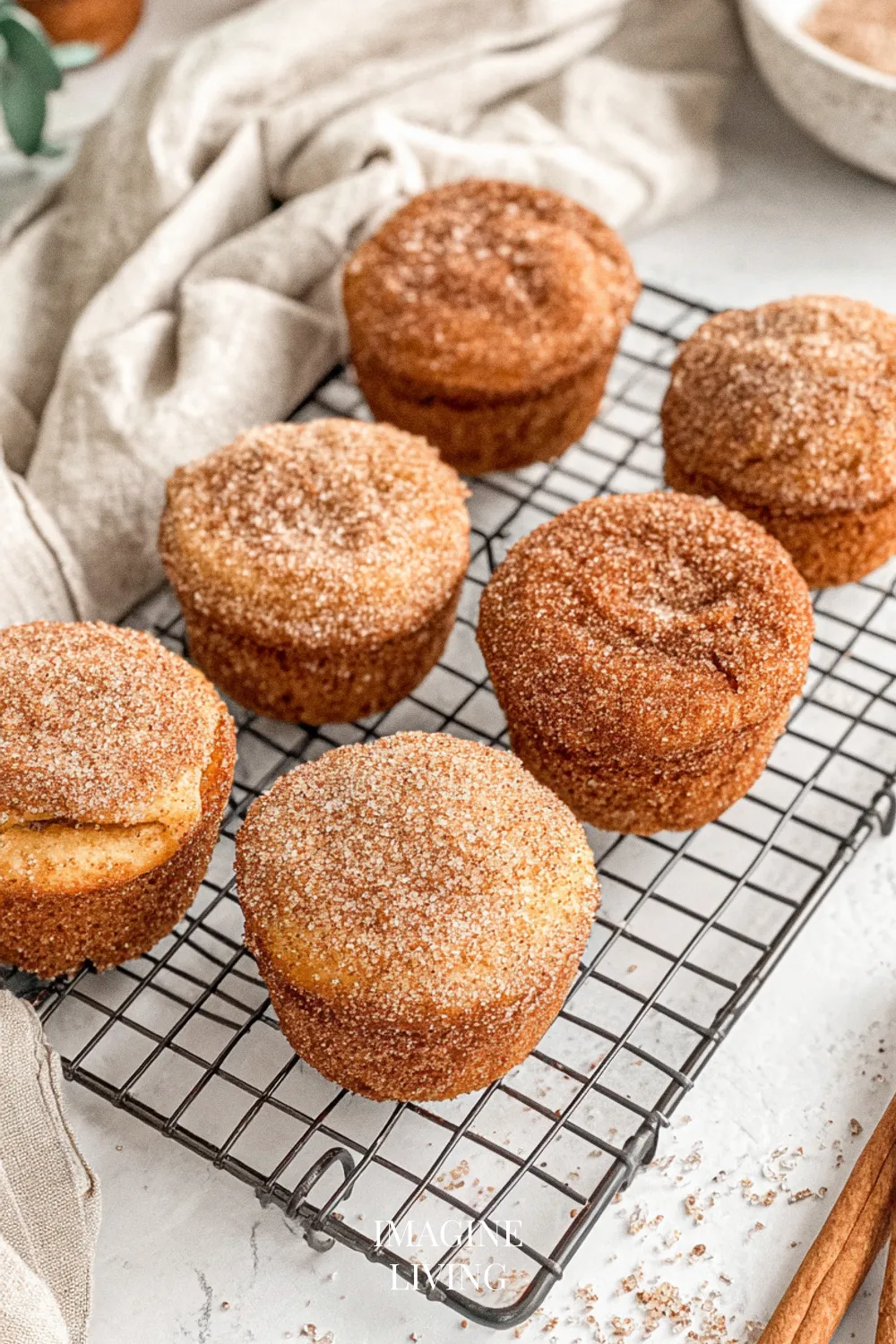 Ingredients: Delicious Cinnamon Sugar Donut Muffins
