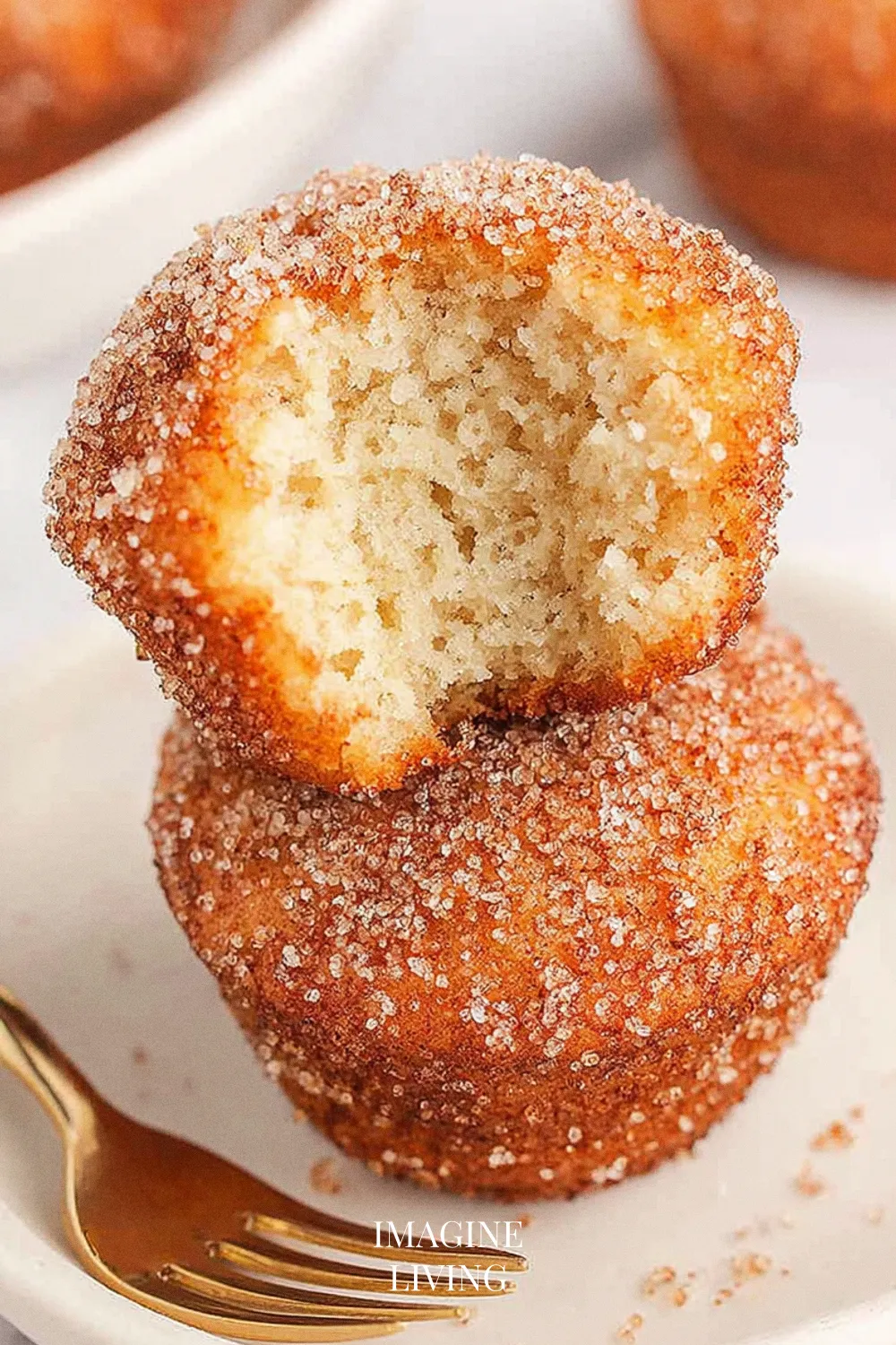 Pro Tips for Cinnamon Sugar Donut Muffins