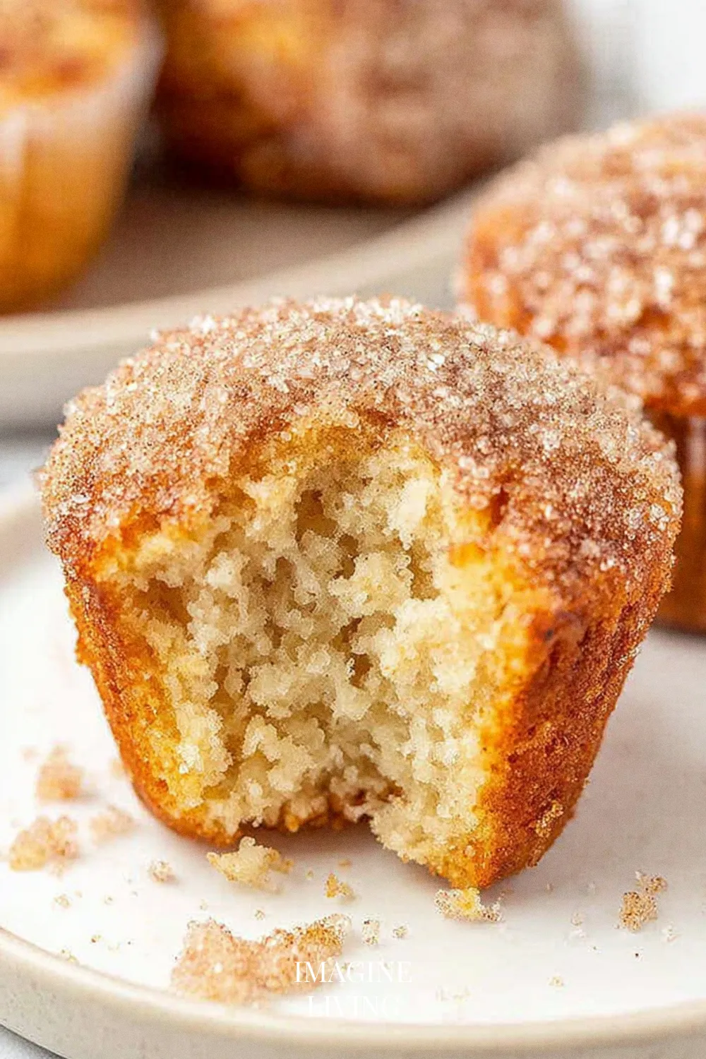 Dietary Variations & Substitutions