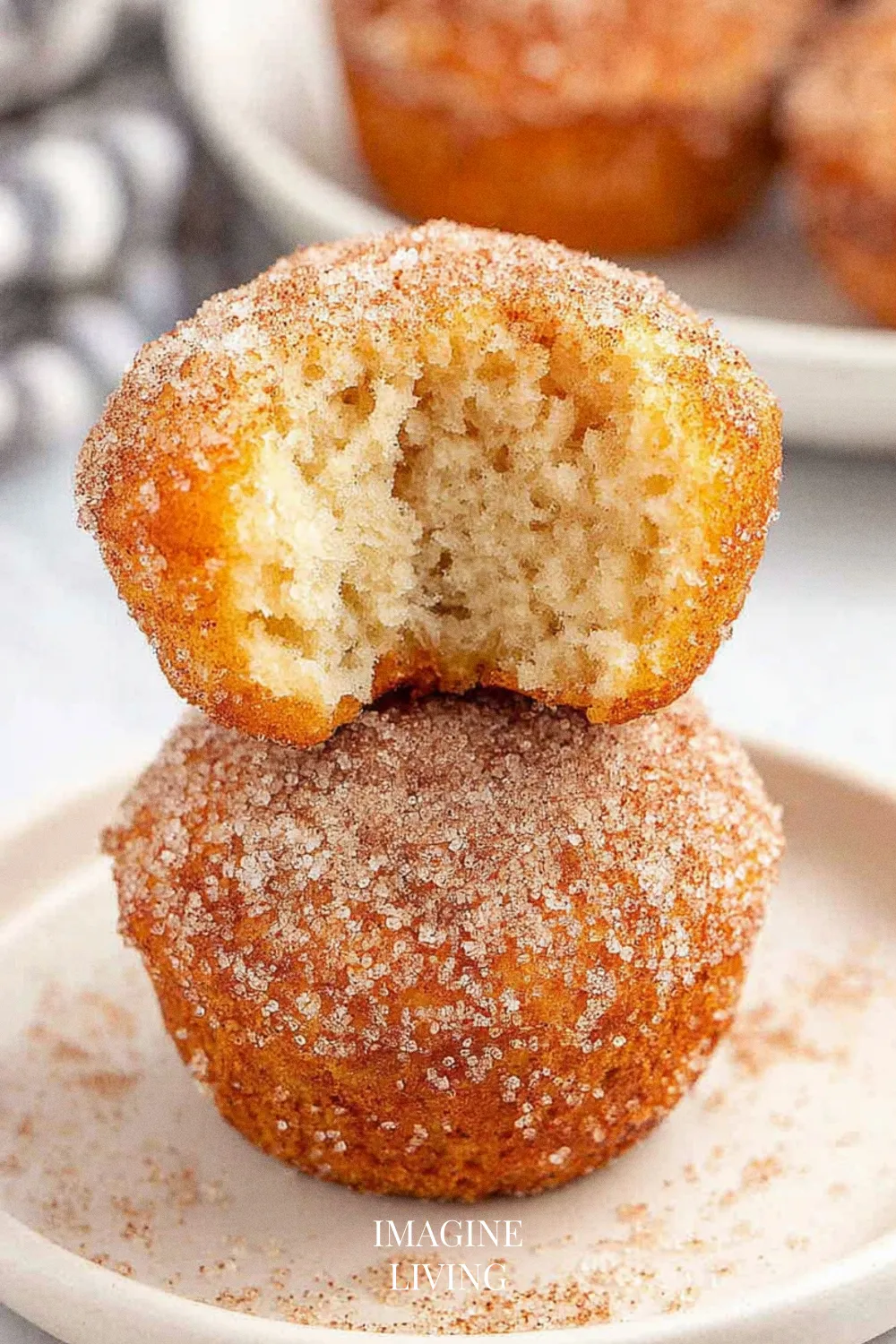 Creative Variations: Unique Takes on Cinnamon Sugar Donut Muffins