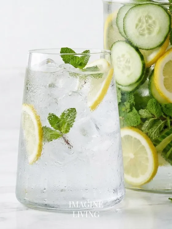 Cucumber Lemon Mint Water