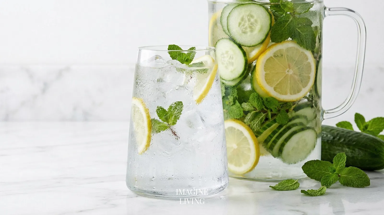 IL-cucumber-lmw-h-122102