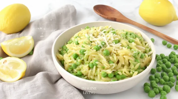 IL-lemon-bowp-h-13230