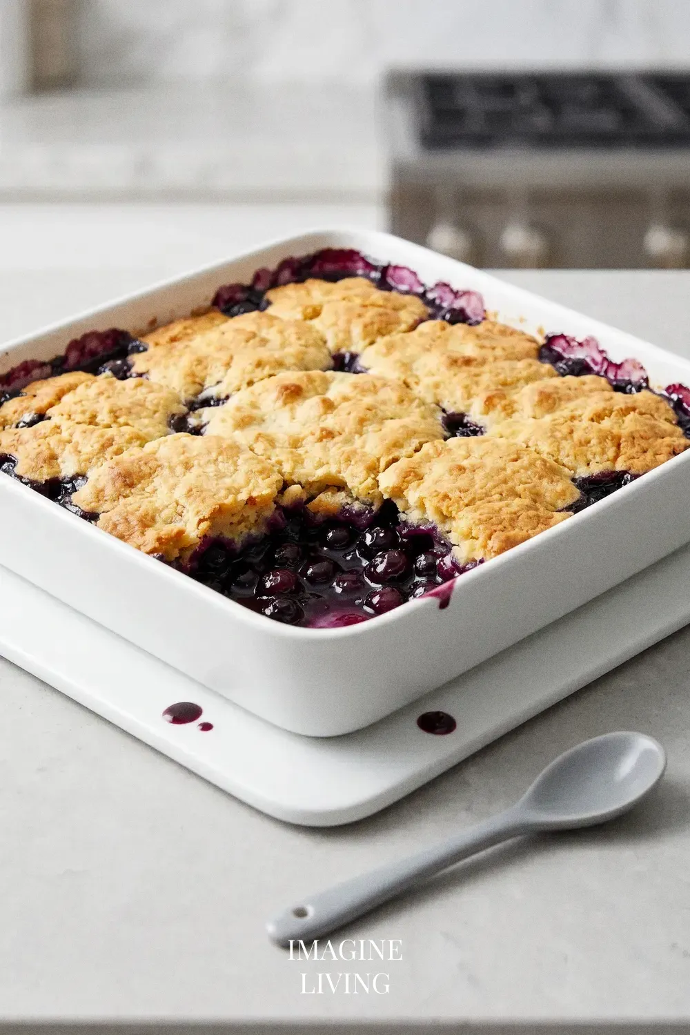 Creative Variations: Blueberry Cobbler Ideas