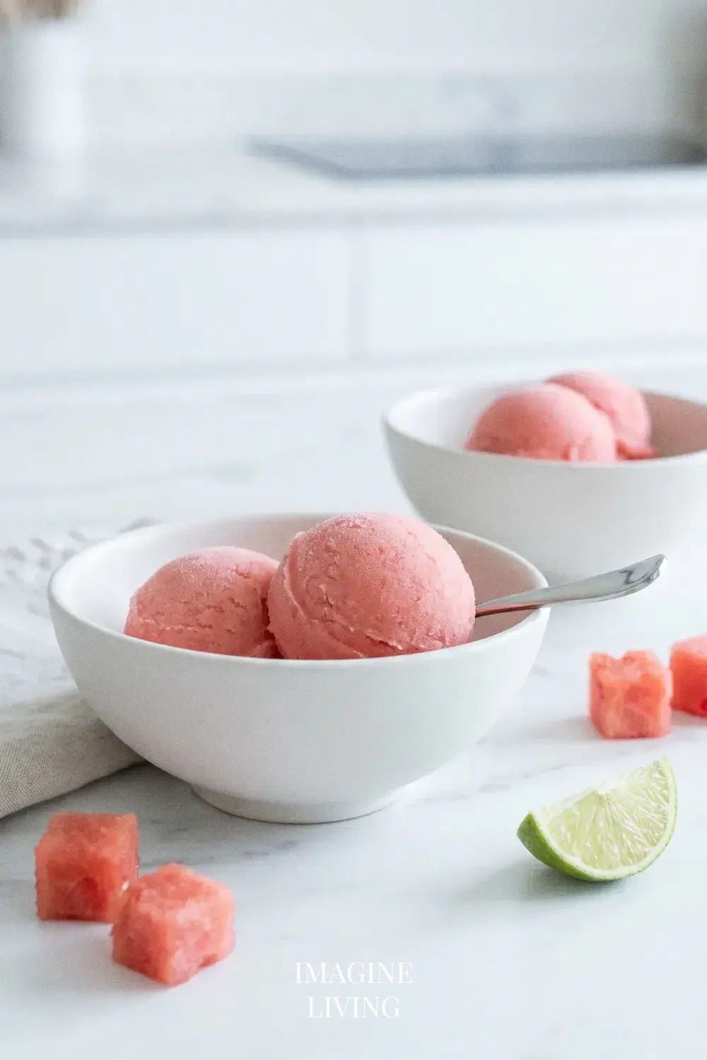 Pro Tips for Watermelon Sorbet
